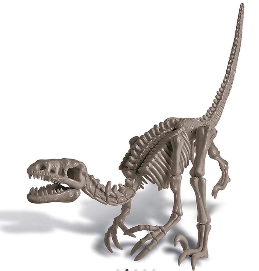 Kidzlabs Velociraptor