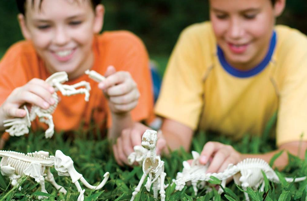 Kidzlabs Velociraptor